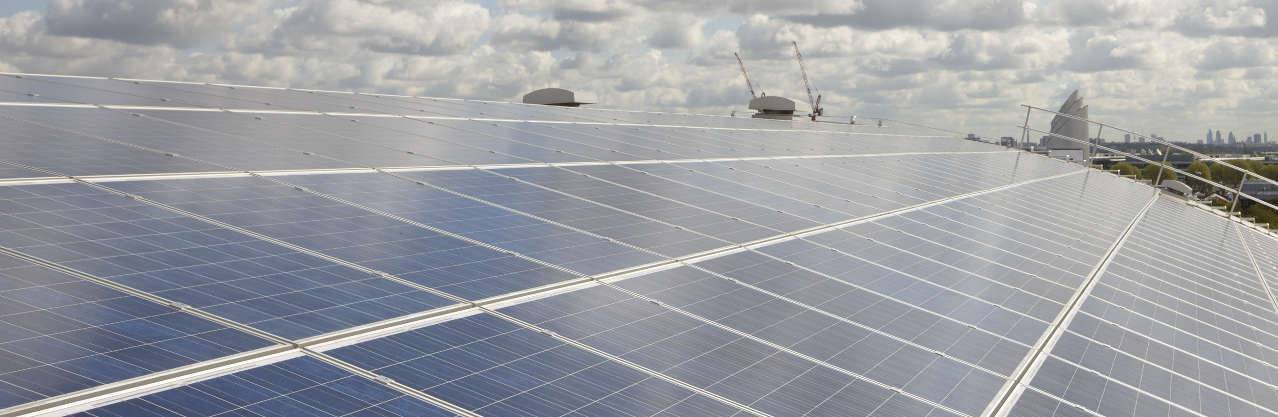 Aligning People, Planet and Profit