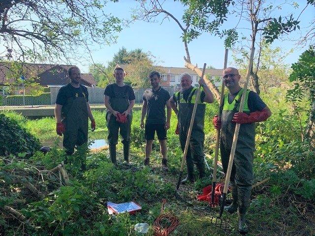 Uxbridge pennywort (2).jpg