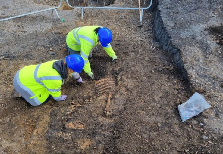 Wapping2 post-medieval horse burial.jpg